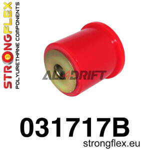 031717B: Rear diff mount - front bush