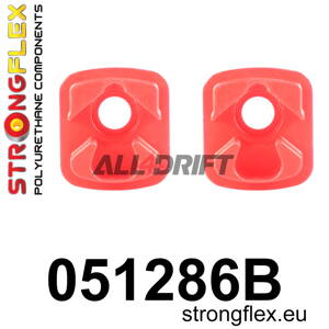051286B: Engine mount rear lower inserts