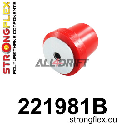 221981B: Rear beam bush