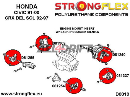 081240B: Engine rear mount inserts - Acura III (93-01) DB6/7/8/9 / DC1/4