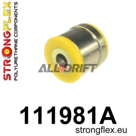 111981A: Rear control arm - inner bush SPORT