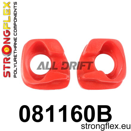081160B: Engine mount inserts front